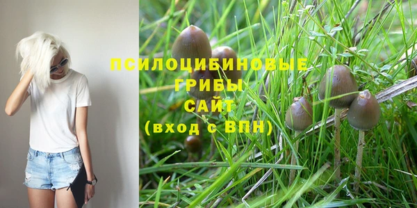 a pvp Аркадак