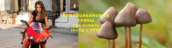 не бодяженный Армянск